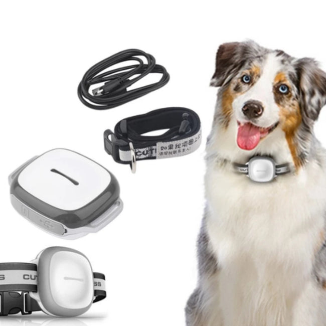 Collared Cat Dog Tracker Pet Locator Pet Hover Image