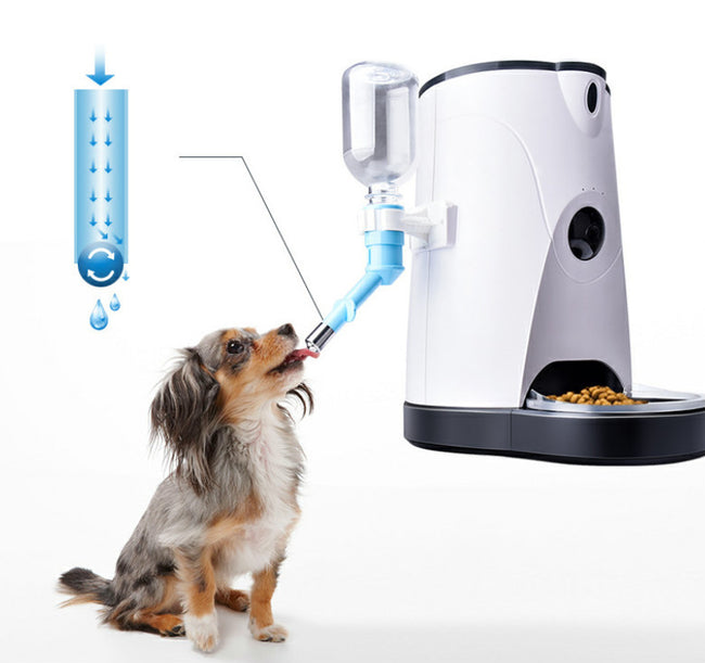 Pet automatic feeder Hover Image
