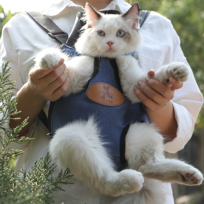 Portable cat backpack for spring outing Main Image