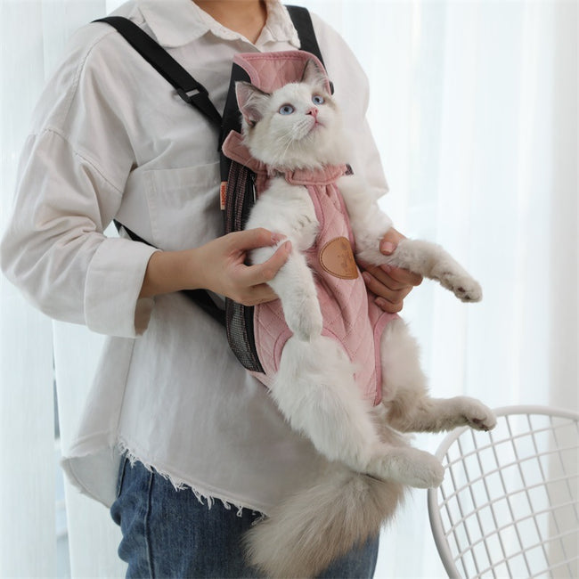 Portable cat backpack for spring outing Hover Image