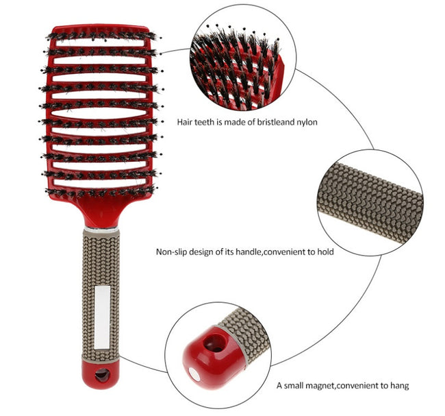 Hairbrush Anti Klit Brushy Haarborstel Women Detangler Hair Brush Bristle Nylon Scalp Massage  Teaser Hair Brush Comb Main Image