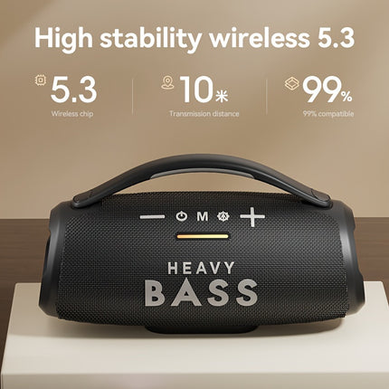 Heavy Bass 30W Wireless Speaker With Subwoofer USB C Mic PA