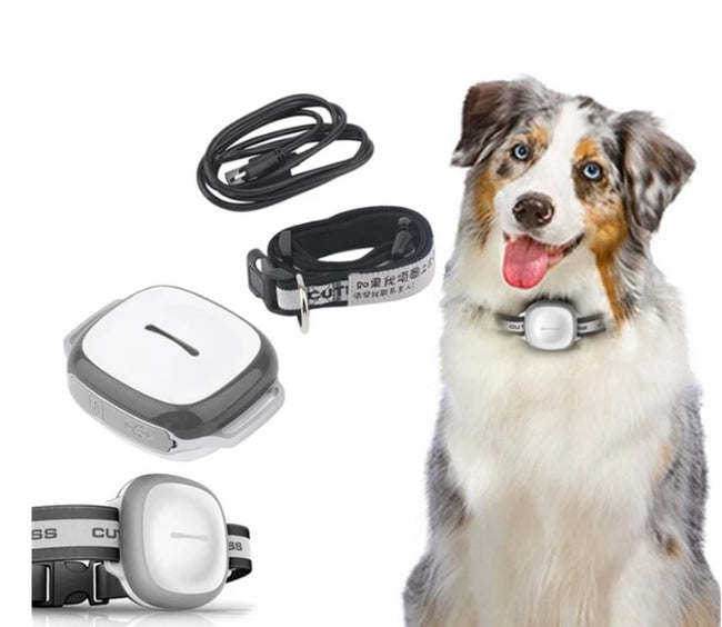 Collared Cat Dog Tracker Pet Locator Pet Main Image