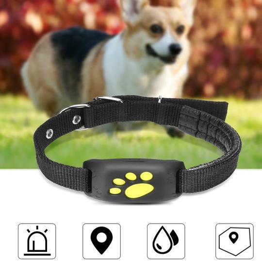 GPS Pet Tracker Hover Image