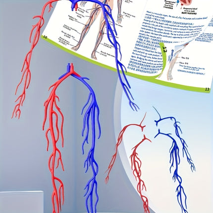 Educational 28 Piece Body Puzzle Set for Anatomy Organs