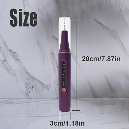 Upgraded Purple Dental Cleaner Interdental Tool 5 Speed USB