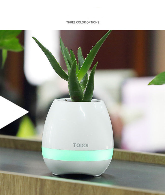 Touch-sensitive music vase desktop audio Main Image