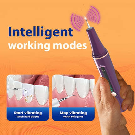 Upgraded Purple Dental Cleaner Interdental Tool 5 Speed USB