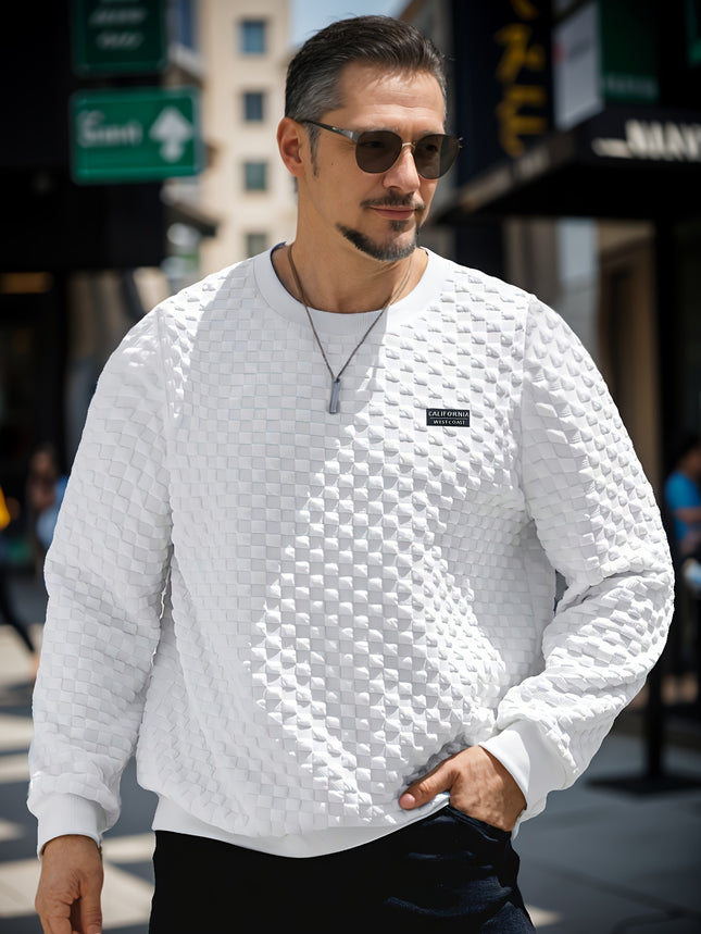 Mens Textured Grid Pattern Long Sleeve Crew Neck Polyester