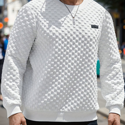 Mens Textured Grid Pattern Long Sleeve Crew Neck Polyester