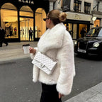Internet Celebrity Fur Coat Women's Large Lapel Street Shot Fluffy