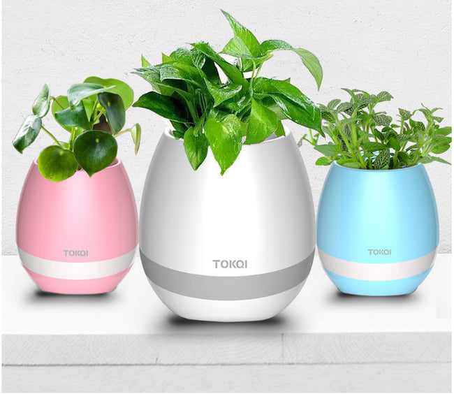 Touch-sensitive music vase desktop audio Hover Image