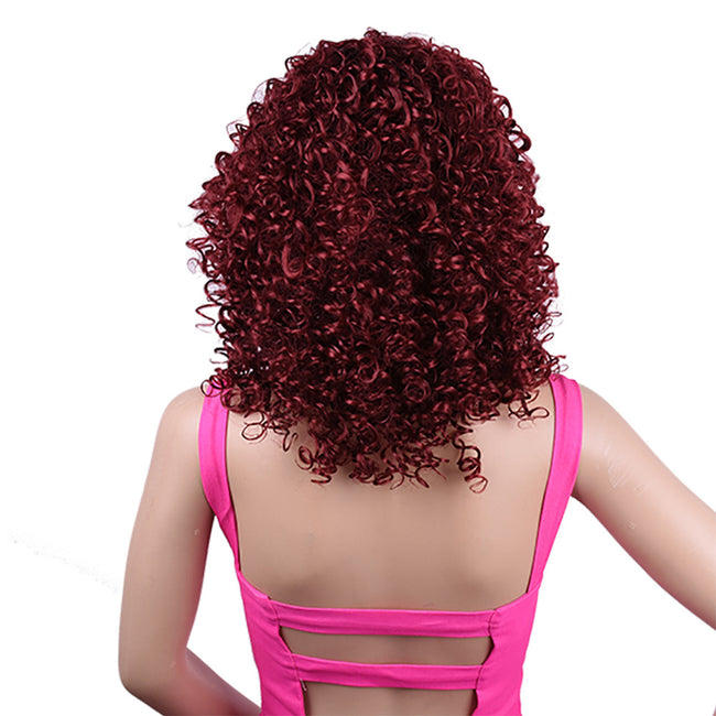 Synthetic Afro Curly Wig African Wigs For Black Women Main Image