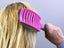 Anti Static Bending Nylon Women's Wet Curly Tangled Hair Brush Styling Tool