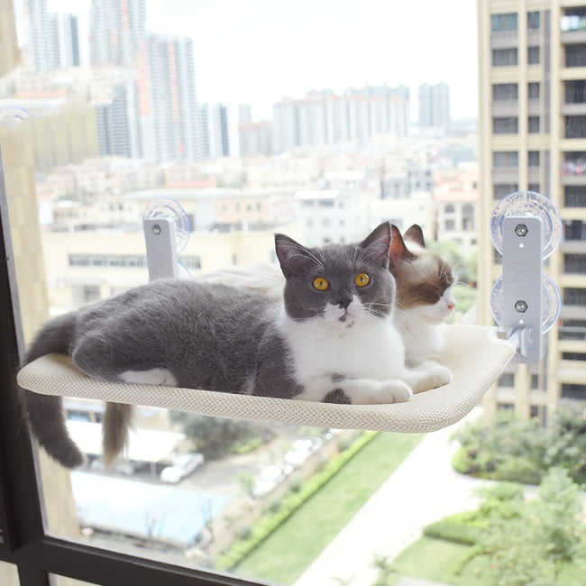 Cat Suction Cup Window Glass Hammock Pet Cat Pets Products Hover Image