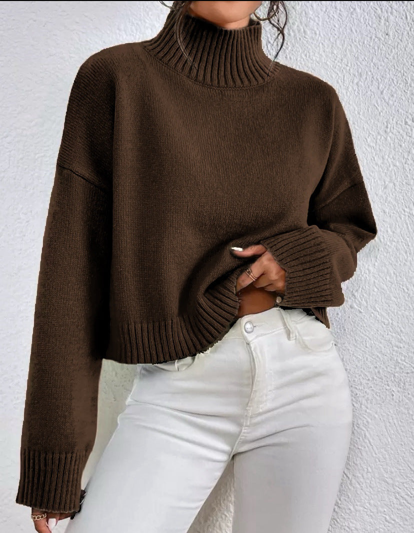 Loose Versatile Basic Pullover Women