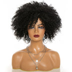 Afro Kinky Curly Hair Wigs Afro Kinky Curly Hair Wigs