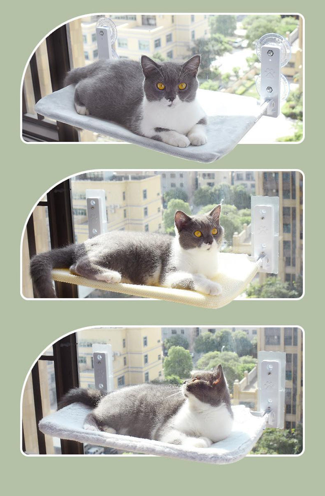 Cat Suction Cup Window Glass Hammock Pet Cat Pets Products Main Image