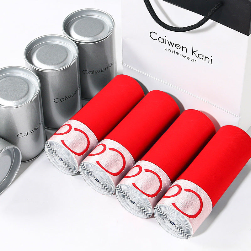 Men's Plus Size Breathable Boxers