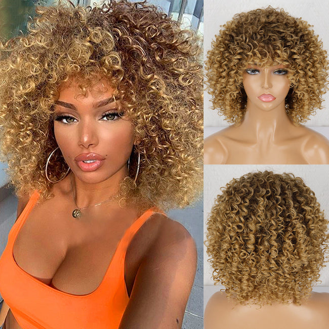 Synthetic Afro Curly Wig African Wigs For Black Women Hover Image