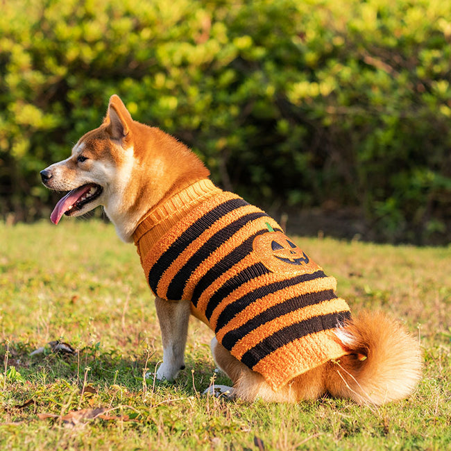Halloween Dog Sweaters Pet Costume Teddy Warm Leisure Sweater Cosplay Clothes For Dogs Pets Outfits Main Image