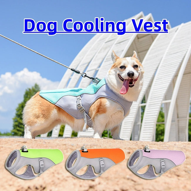 Summer Pet Dog Cooling Vest Heat Resistant Cool Dogs Clothes Breathable Sun-proof Clothing For Small Large Dogs Outdoor Walking Hover Image