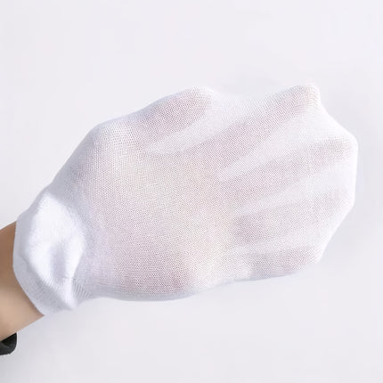 No Show Basic Low Cut Socks 1 5 10 Pairs Soft Lightweight