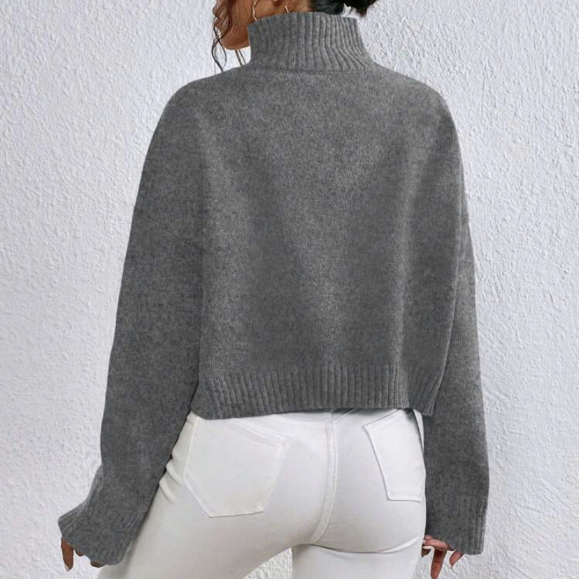 Loose Versatile Basic Pullover Women