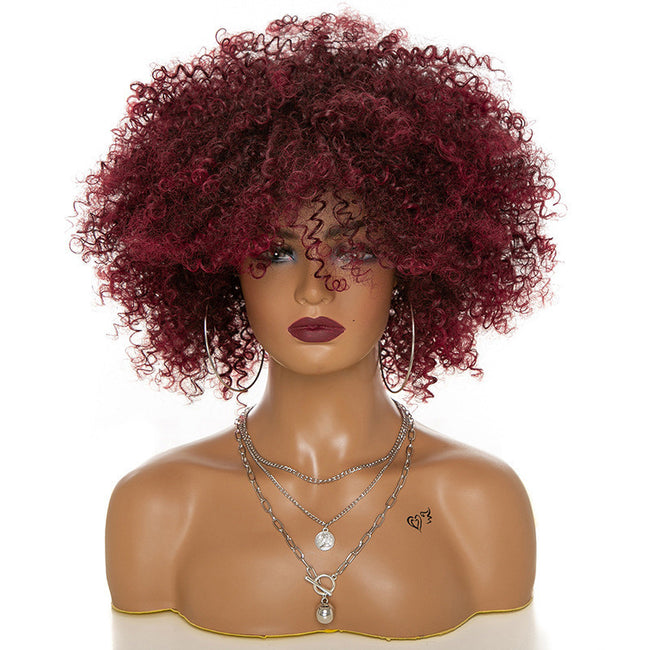 Afro Kinky Curly Hair Wigs Afro Kinky Curly Hair Wigs Main Image