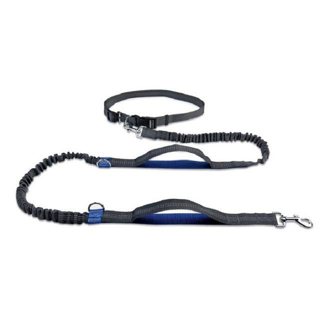 Pet Products Pet Traction Rope Multifunctional Main Image