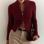 Zipper Slim Fit Top Stand Collar High Waist Trendy Long-sleeve Sweater Bottoming